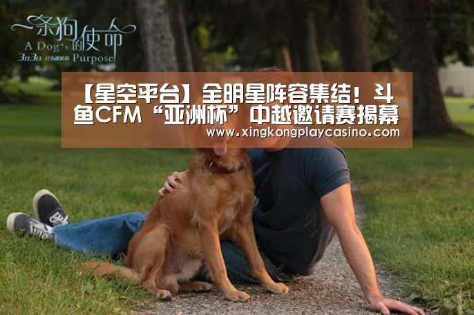 【星空平台】全明星阵容集结!斗鱼CFM“亚洲杯”中越邀请赛揭幕战明日正式打响!(图2) 星空APP