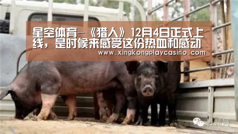 星空百家乐